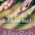 fischer_buch