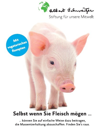 Interview: Die Albert Schweitzer Stiftung für unsere Mitwelt