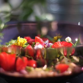 Rohkostchef Boris Lauser – Dinner Club, Yoga, Kurse, Catering…