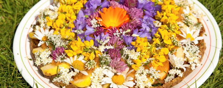 Natürliche Ernährung – Wildkräuter Juni/Juli (mit Rezept für Blumen-Rohkost-Torte)