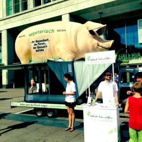 Albert-Schweitzer-Stiftung für unsere Umwelt