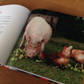 “Multikuhlti und vegan” – Geschichten und Rezepte von Hof Butenland