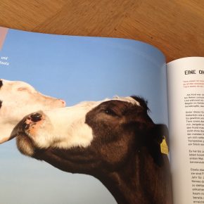 “Multikuhlti und vegan” – Geschichten und Rezepte von Hof Butenland