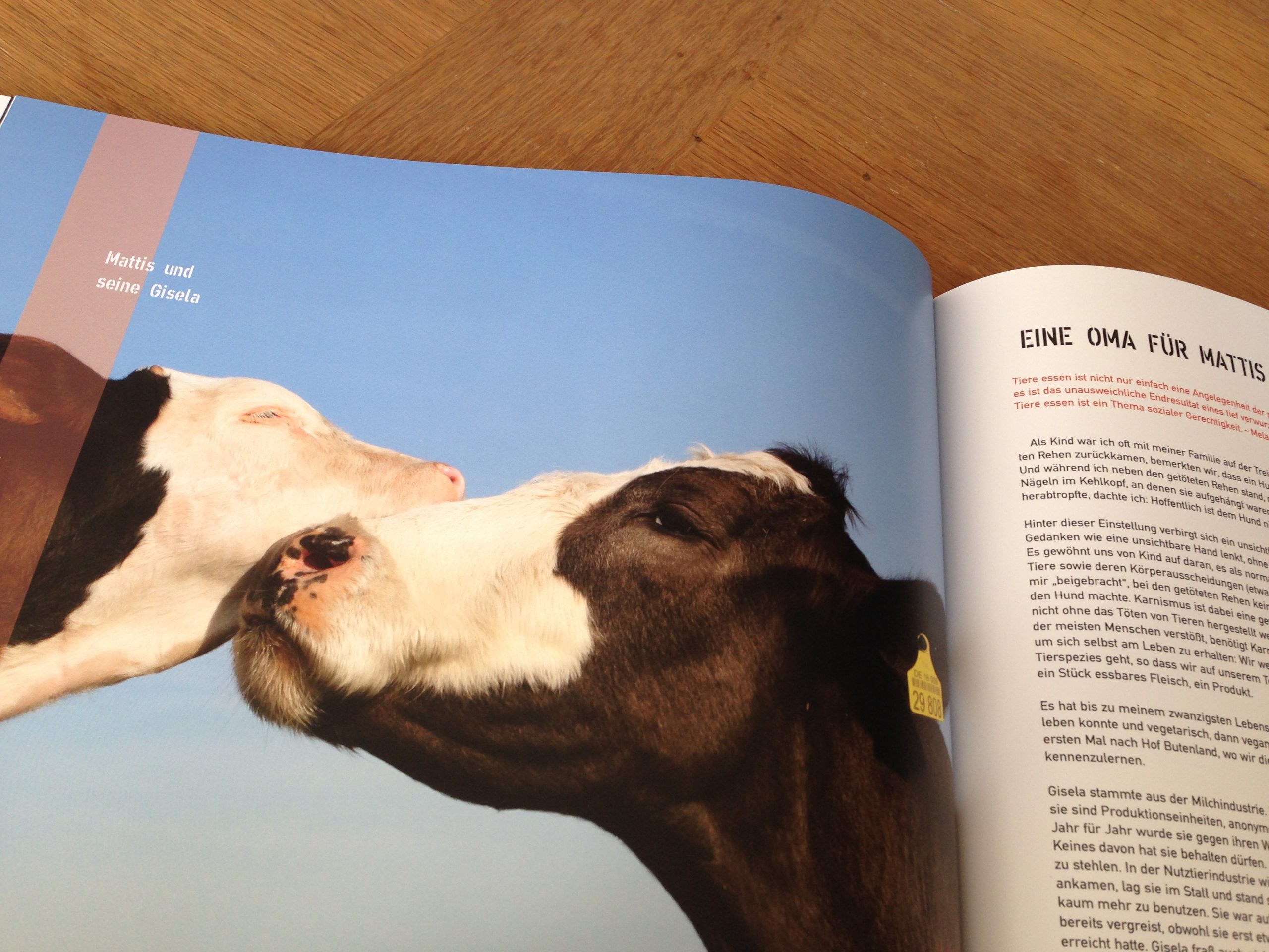 „Multikuhlti und vegan“ – Geschichten und Rezepte von Hof Butenland