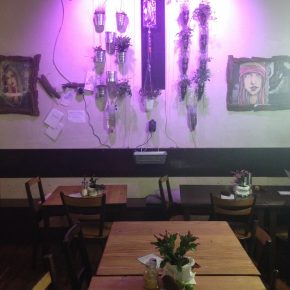 Fast Rabbit in Berlin – Dirty Rolls und mehr