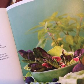 Buchtipp: 7 Tage grün von Franziska Schmid – inkl. Verlosung von 5 Exemplaren