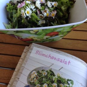 Buchvorstellung: Rohvegan von Claudia Renner