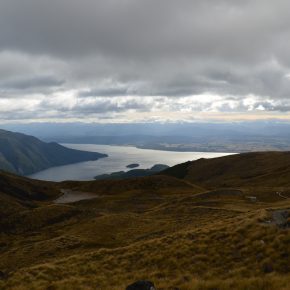 Vegan wandern in Neuseeland