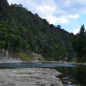 Vegan wandern in Neuseeland