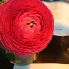 Margarete in Frankfurt: The Place to be an Sonntagen!