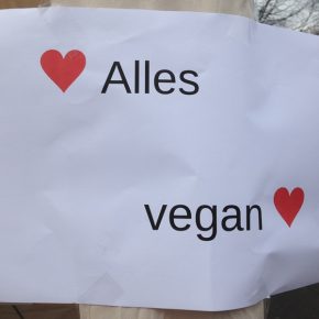 Der neue Samstagsmarkt in der Heidelberger Weststadt