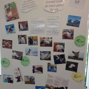 Gesund genießen im Café Vigan, Nordenham