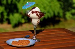 Genuss aus Kokosnuss: kokosmilch-eis.de