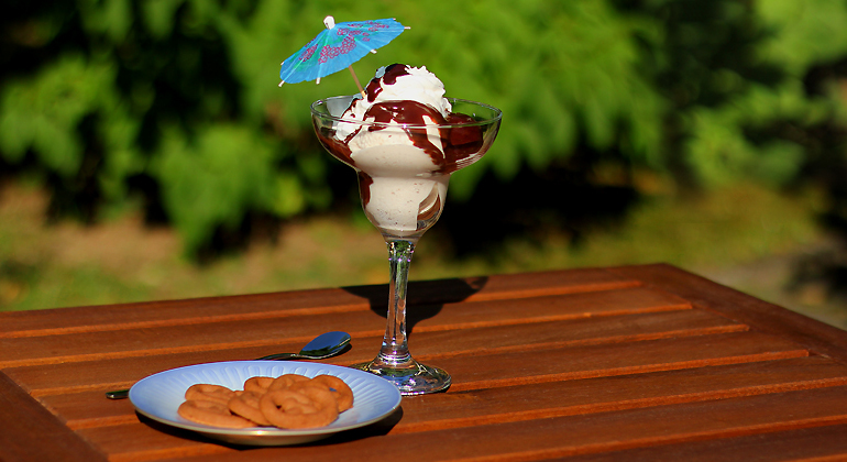 Genuss aus Kokosnuss: kokosmilch-eis.de