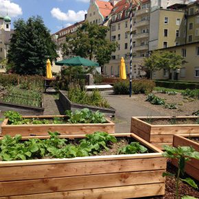 Kochen nach deiner Natur – mit Sebastian Copien in München