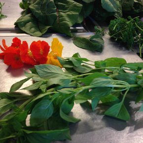 Kochen nach deiner Natur – mit Sebastian Copien in München