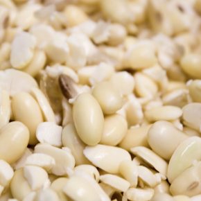 Tofu Tussis aus Berlin