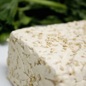 Tofu Tussis aus Berlin