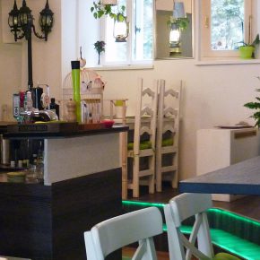 Kreative, vegane Köstlichkeiten im Restaurant Green Garden in Salzburg