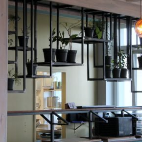 The Bowl – 100% vegan, glutenfrei, bio und lecker