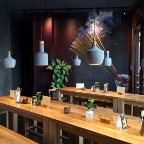 Soy – Veganes vietnamesisches Restaurant in Berlin