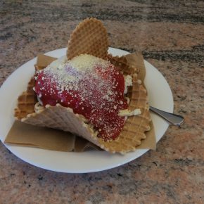 The vegan choice – Berlins erste vegane Eisdiele