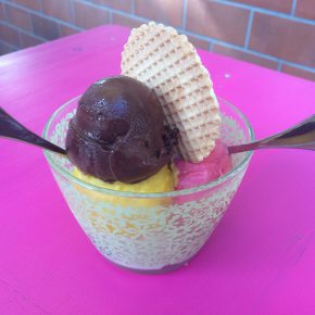 The vegan choice – Berlins erste vegane Eisdiele