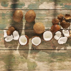 Kokosnuss in allen Varianten von Kulau