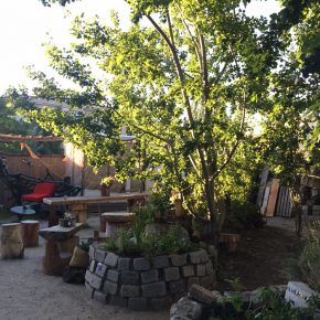 Wilder Hase – Deutschlands 1. veganer Biergarten