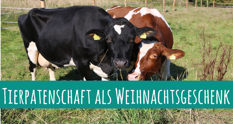Symbolische Tierpatenschaft als Weihnachtsgeschenk