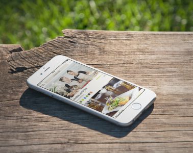 vanilla bean – Interview mit den Machern