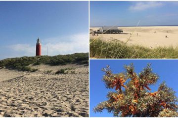 Texel – ein kleines Naturparadies inmitten der Nordsee