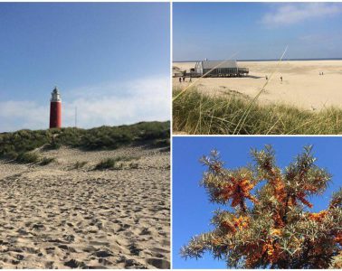 Texel – ein kleines Naturparadies inmitten der Nordsee