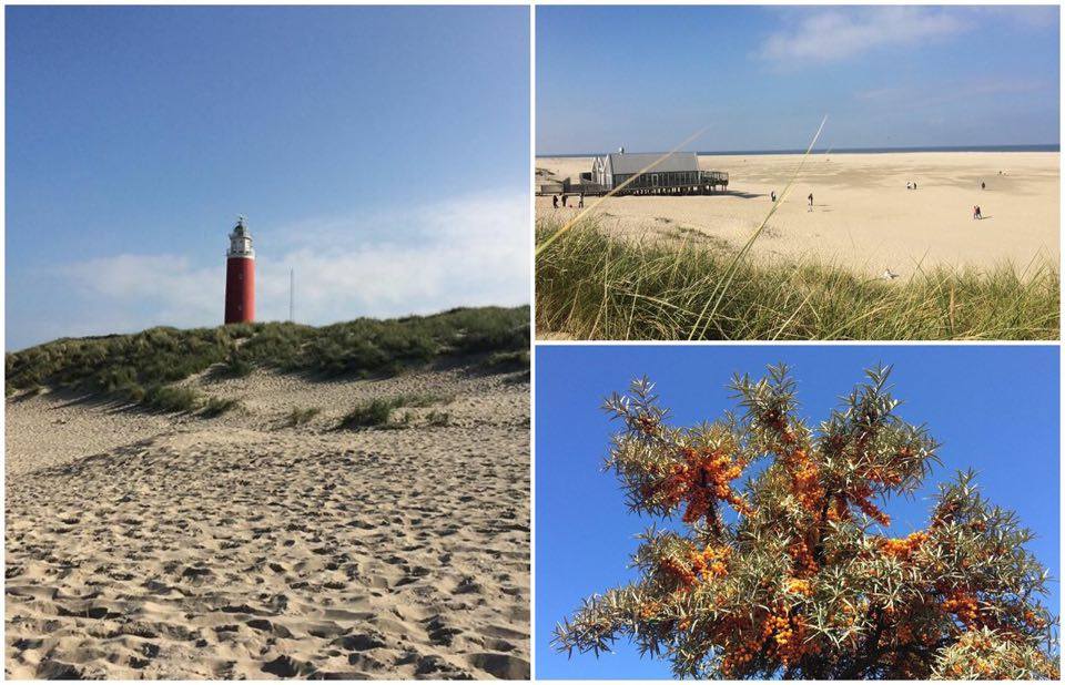 Texel Strand