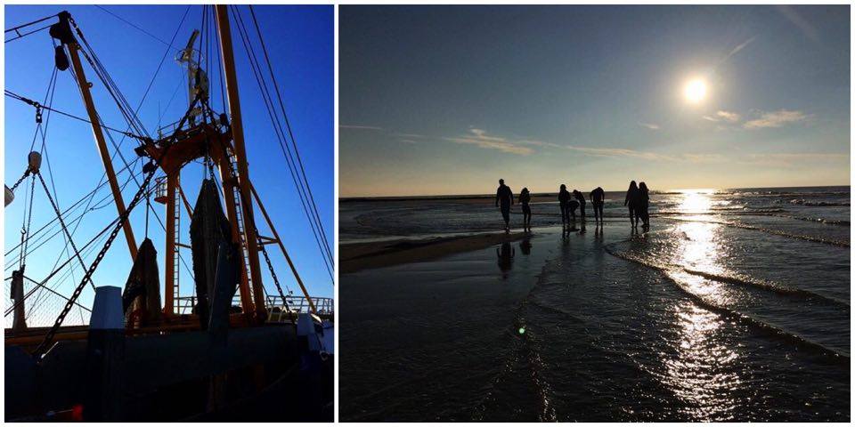 Texel Hafen und Strand