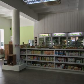 Reisebericht: Vegan auf Mallorca