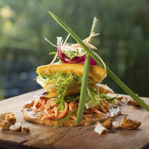 Vegan Welcome – Hier sind Veganer willkommen