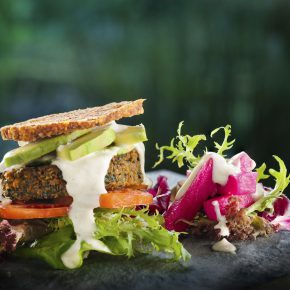 Vegan Welcome – Hier sind Veganer willkommen