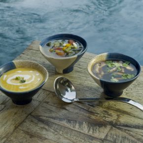 Vegan Welcome – Hier sind Veganer willkommen