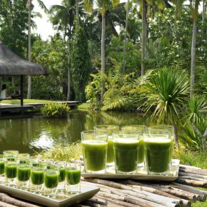 Vegan Welcome – Hier sind Veganer willkommen