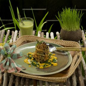 Vegan Welcome – Hier sind Veganer willkommen