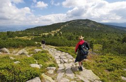 Wikinger Reisen: Wandern und vegan kochen im Riesengebirge