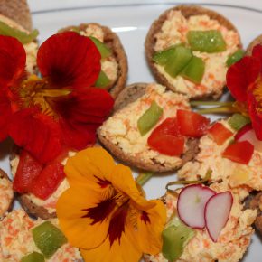 Veganer Frühling in Bad Tölz