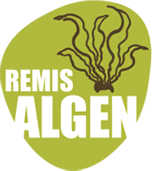 logo (1)
