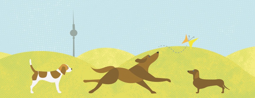 vegan4dogs-landscape