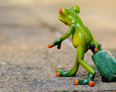 4 ultimative Ideen für eine vegane und nachhaltige Ernährung unterwegs