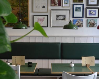 Molly & Alf – Flensburgs erstes veganes Café