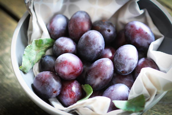 Ob Zwetscken, Zwetschgen oder Pflaumen - die süßen Spätsommerfrüchte sind einfach köstlich