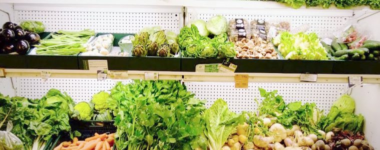 1 Monat „Div isst roh“ – Rohkosternährung-Fazit