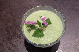 Vegan Reisen in Bad Tölz beim “Tölzer Veg” + Gewinnspiel